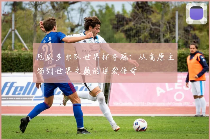 厄瓜多尔队世界杯夺冠：从高原主场到世界之巅的逆袭传奇